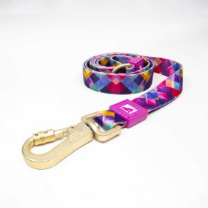 2cm Köpek Gezdirme Tasması